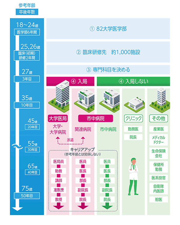 医師のキャリアイメージ例