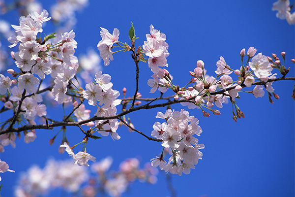 4月入職をお考えの先生へ