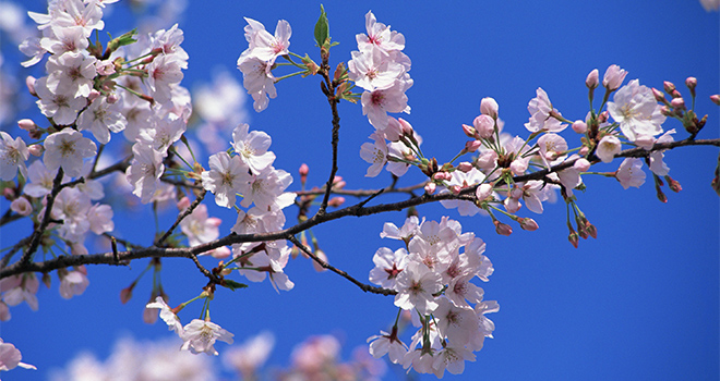 4月入職をお考えの先生へ