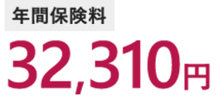 年間保険料 32,310円