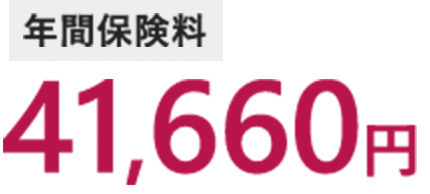 年間保険料 41,660円