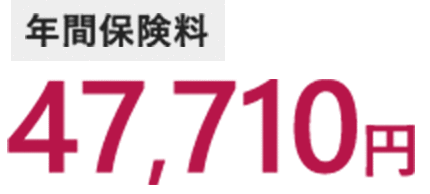 年間保険料 47,710円